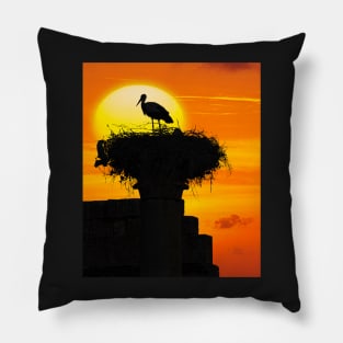 Volubilis Stork. Pillow