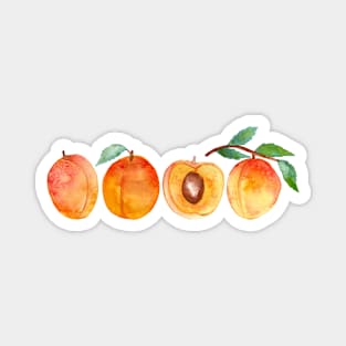 Quadrupled Apricots Magnet