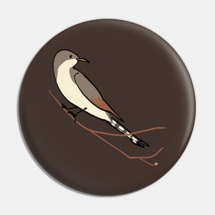 Yellow billed Cuckoo Pin