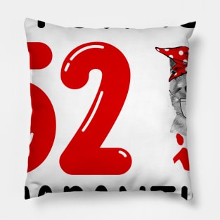 I Turned 52 In Quarantine Funny Cat Facemask Pillow