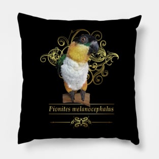 Caique Pillow