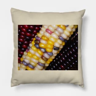 Indian Corn Pillow