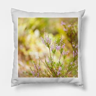 Calluna Pillow