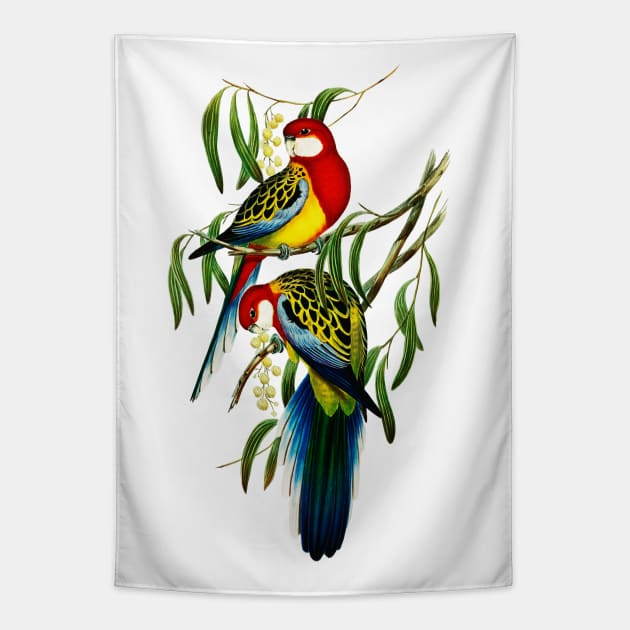 Rose-hill Parakeet illustration Tapestry by KarwilbeDesigns