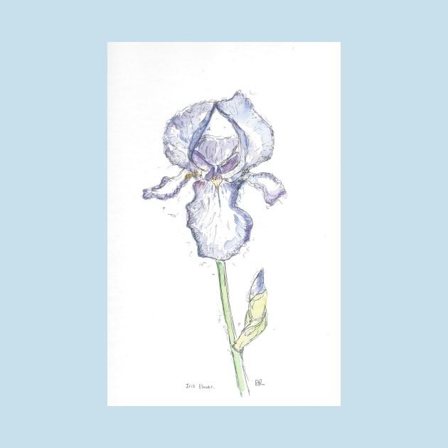 Blue iris illustration. by DebTheZeb