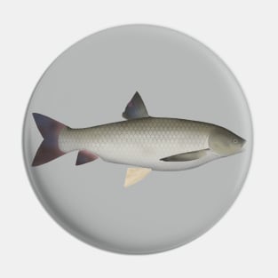 Grass Carp Pin