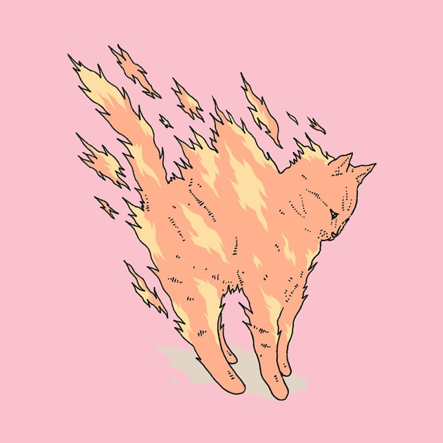 cat fire by kalla