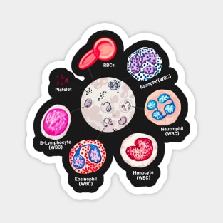 Blood cells. RBCs. WBCs, Basophil, Platelet, thrombocyte, Neutrophil, B-Lymphocyte, Monocyte, Eosinophil. Magnet