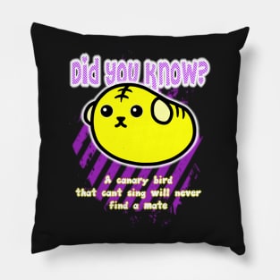 Did you know? 14 Pillow