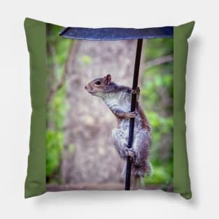 Grey squirrel on a pole Pillow