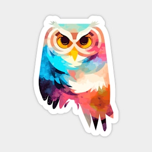 Owl Bird Wild Nature Animal Colors Paint Magnet