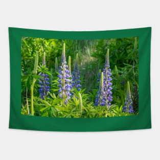 Purple lupins. Tapestry