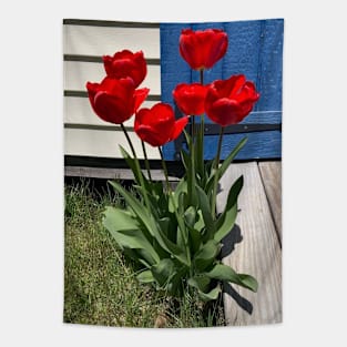 Red Tulips in front of a Blue Door Tapestry