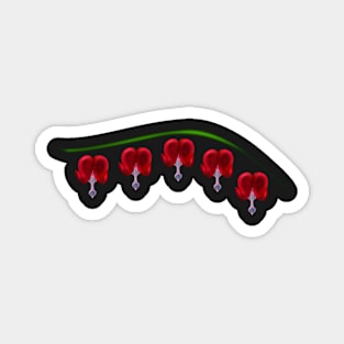 Illustrated Red Bleeding Hearts Magnet