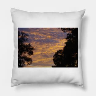 South Carolina Sunset Pillow