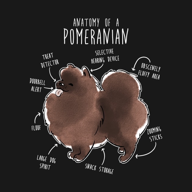 Chocolate Pomeranian Dog Anatomy by Psitta