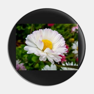 White Daisy Flower Pin