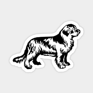 Newfoundland Dog Magnet