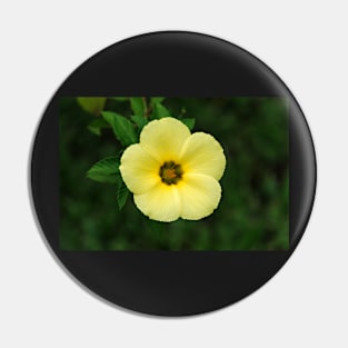 flower Pin