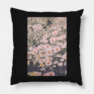 Wild Summer Daisies Pillow