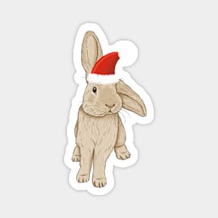 Cute Christmas Rabbit Magnet