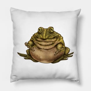 Round Frog Pillow