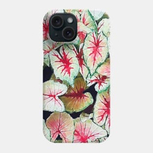 Caladium bicolor leaves Phone Case