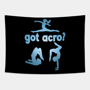 Got Acro Radial Blue Tapestry