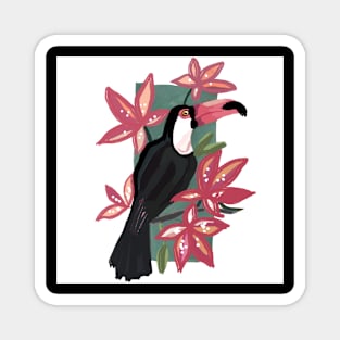 Pink Toucan bird Magnet