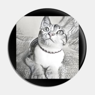 THE ADORABLE LOOK CAT PORTRAIT Pin