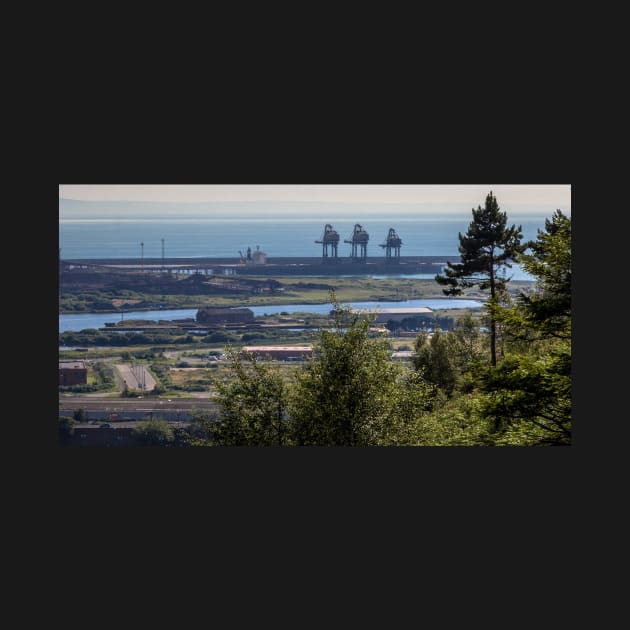 Nature & Industry, Port Talbot - 2013 by SimplyMrHill