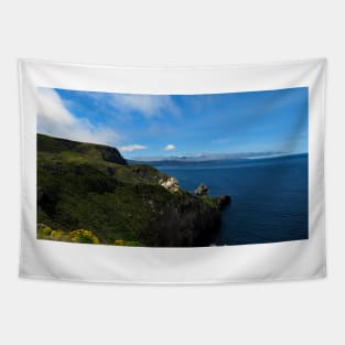 Channel Islands National Park Santa Cruz Island Tapestry