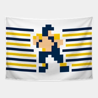 Tecmo QB Stripes - Michigan Tapestry