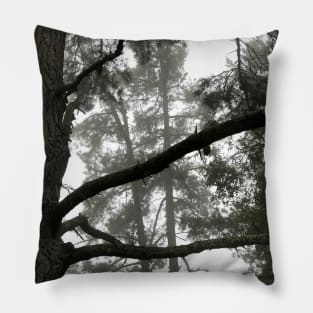 Foggy Woods - Grey Morning Fog in a Redwood Forest - Black and White Trees Pillow