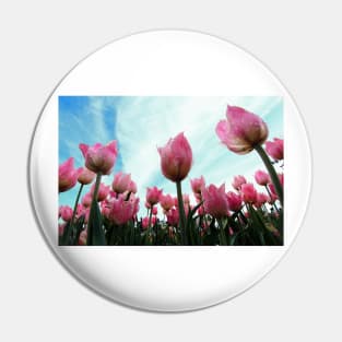 Pink Tulips Pin
