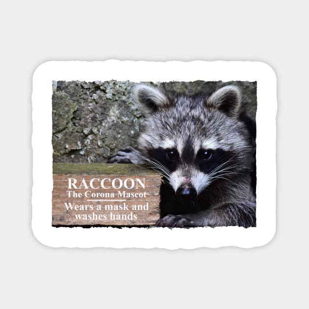 Corona mascot Raccoon Magnet by DeVerviers