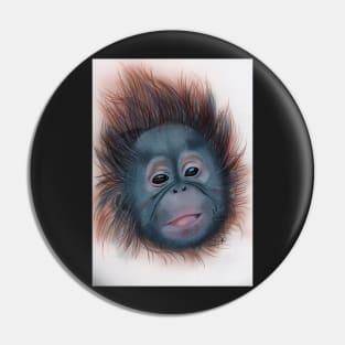 Coloured pencil drawing baby orangutan Pin