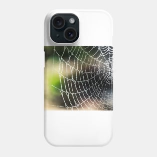 Arachnid artistic blur bokeh Phone Case