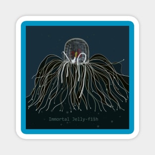 Immortal jellyfish Magnet