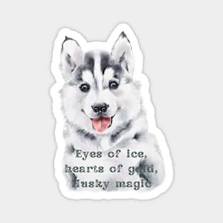 Cute Husky Puppy Sledge Dog Magnet