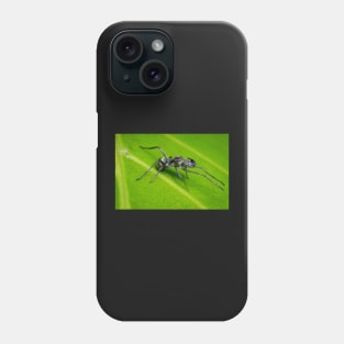 Unique and organic photo of an ant mimic spider Phone Case