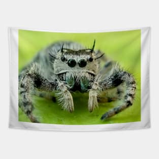 Jumping spider Tapestry