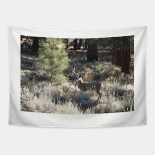 Deer, Wildlife, Mule Deer, Buck, Nature, Gifts Tapestry