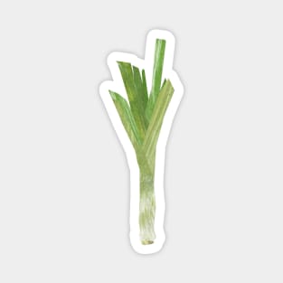 Leek Magnet