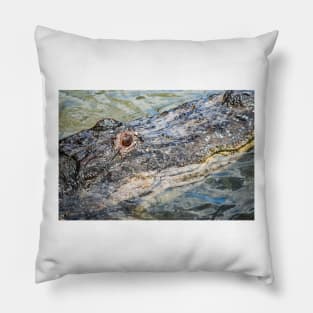 South Orange of Alligator 2 Pillow