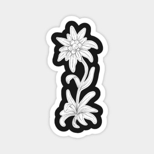 Edelweiss Flower Pen Drawing Magnet