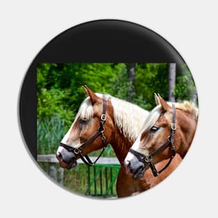 "Horse Duo - Profile" Pin