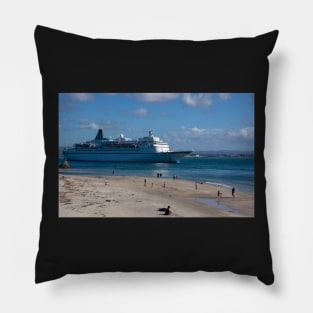 Albatross sailing. Pillow