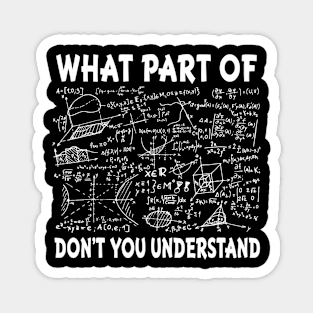 What Part Of Don't You Understand Funny Math Teacher Magnet