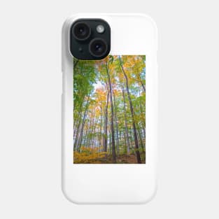 Autumn in the Tree Tops Phone Case